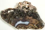 Polished Turkish Stick Agate Slab - Turkey #207940-1